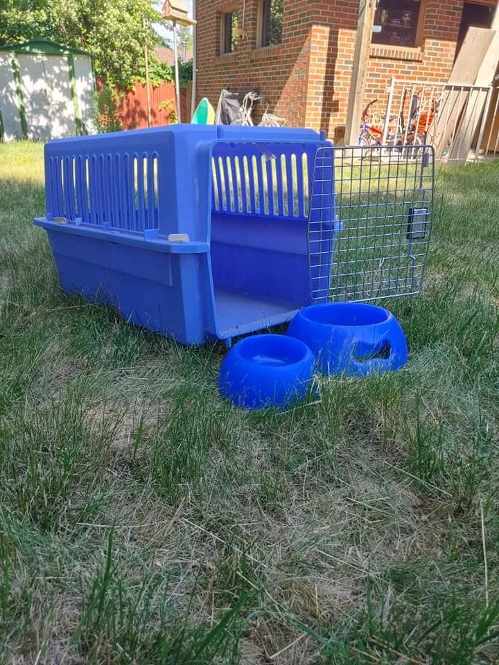 dog/cat crate