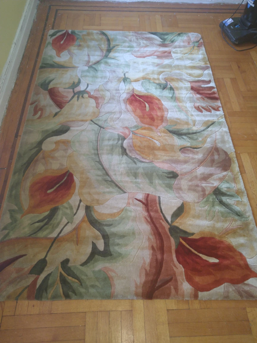 very nice area rug mint, hardly used just shampooed