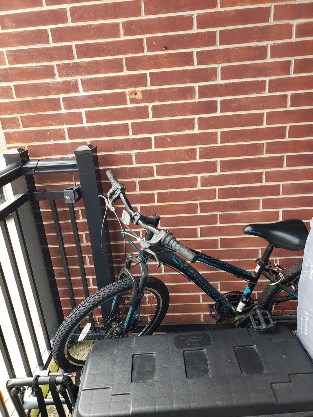 bicycle/ 24" bike boys