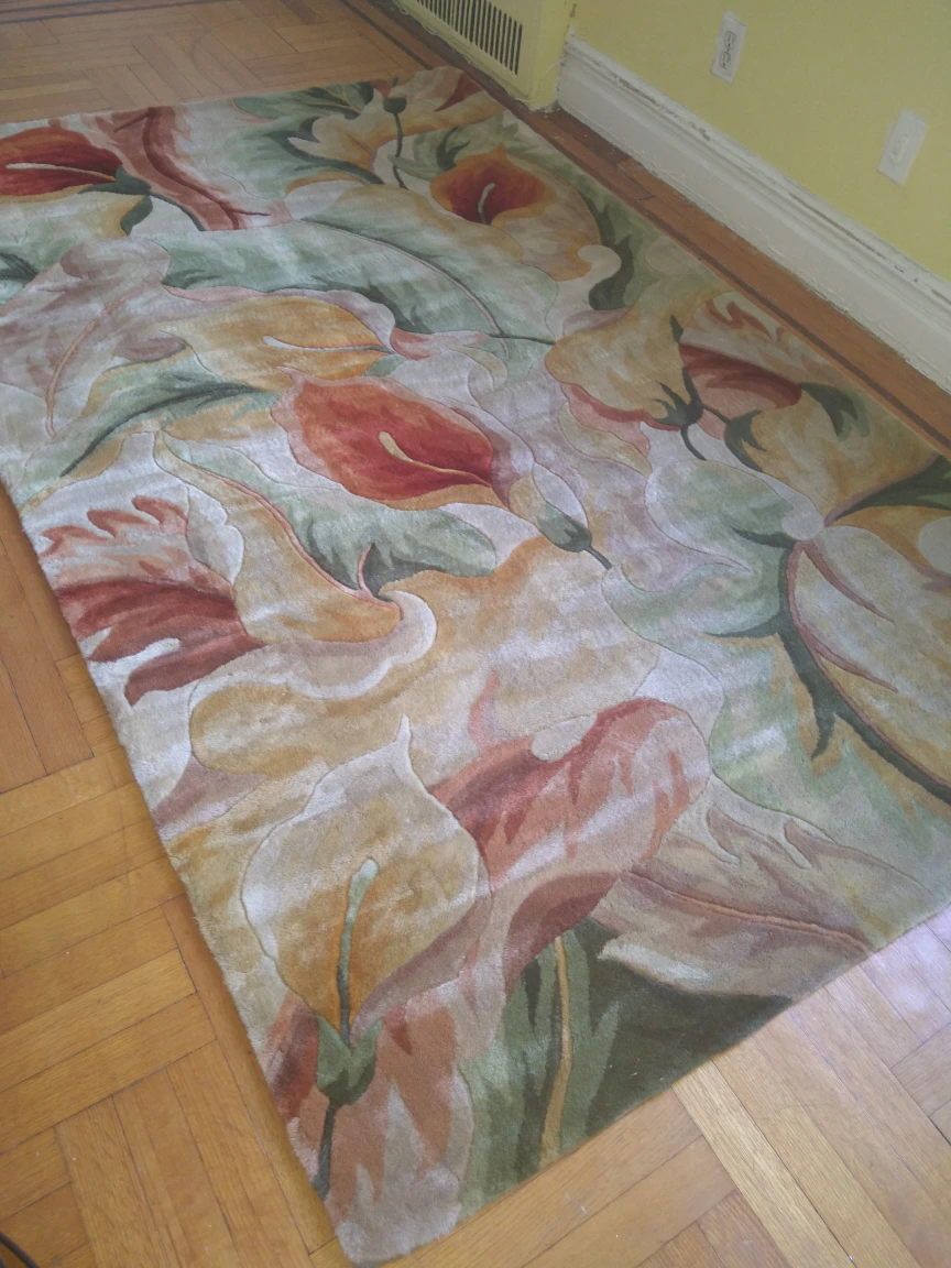 very nice area rug mint, hardly used just shampooed - photo 2