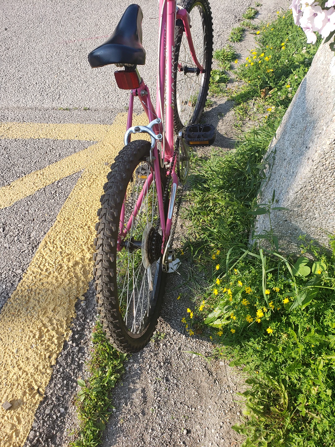 Beautiful Pink Mountain/ Street Bike - photo 4