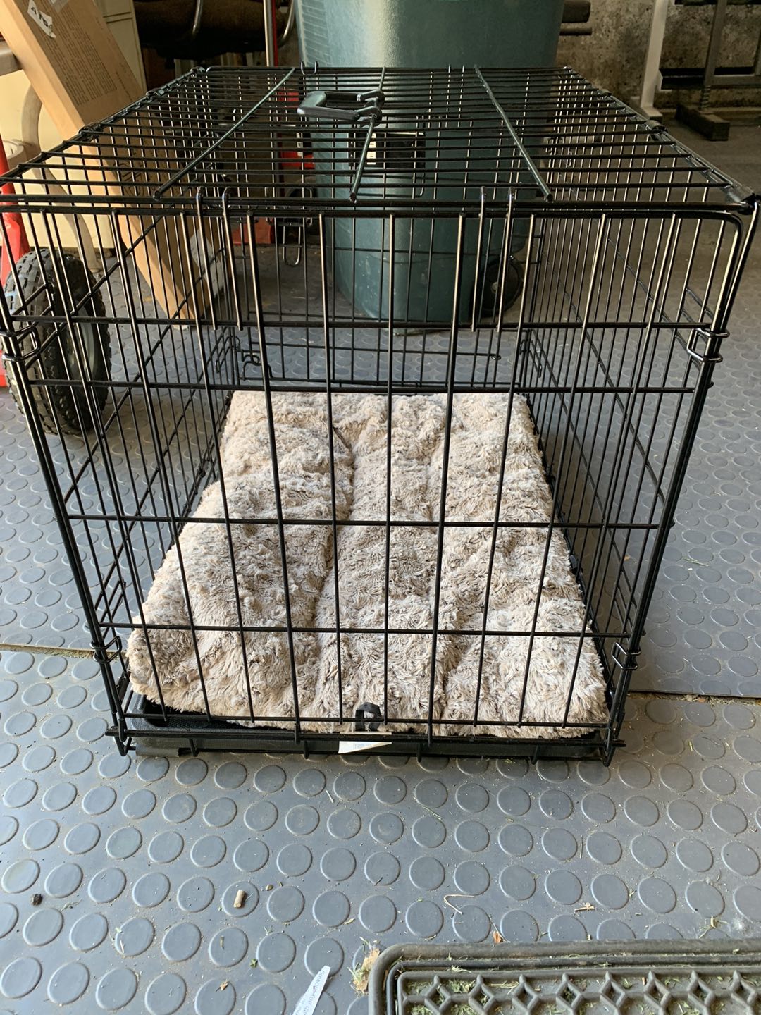 Dog Crate - 24 inch - photo 3