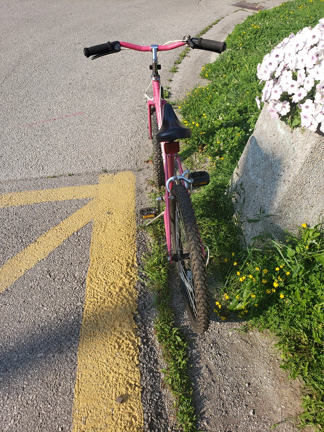 Beautiful Pink Mountain/ Street Bike - photo 3