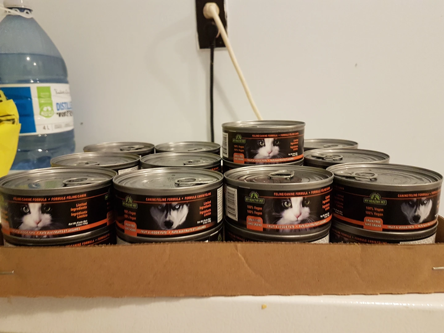 🐱 25 CANS OF FREE PET FOOD 🐕