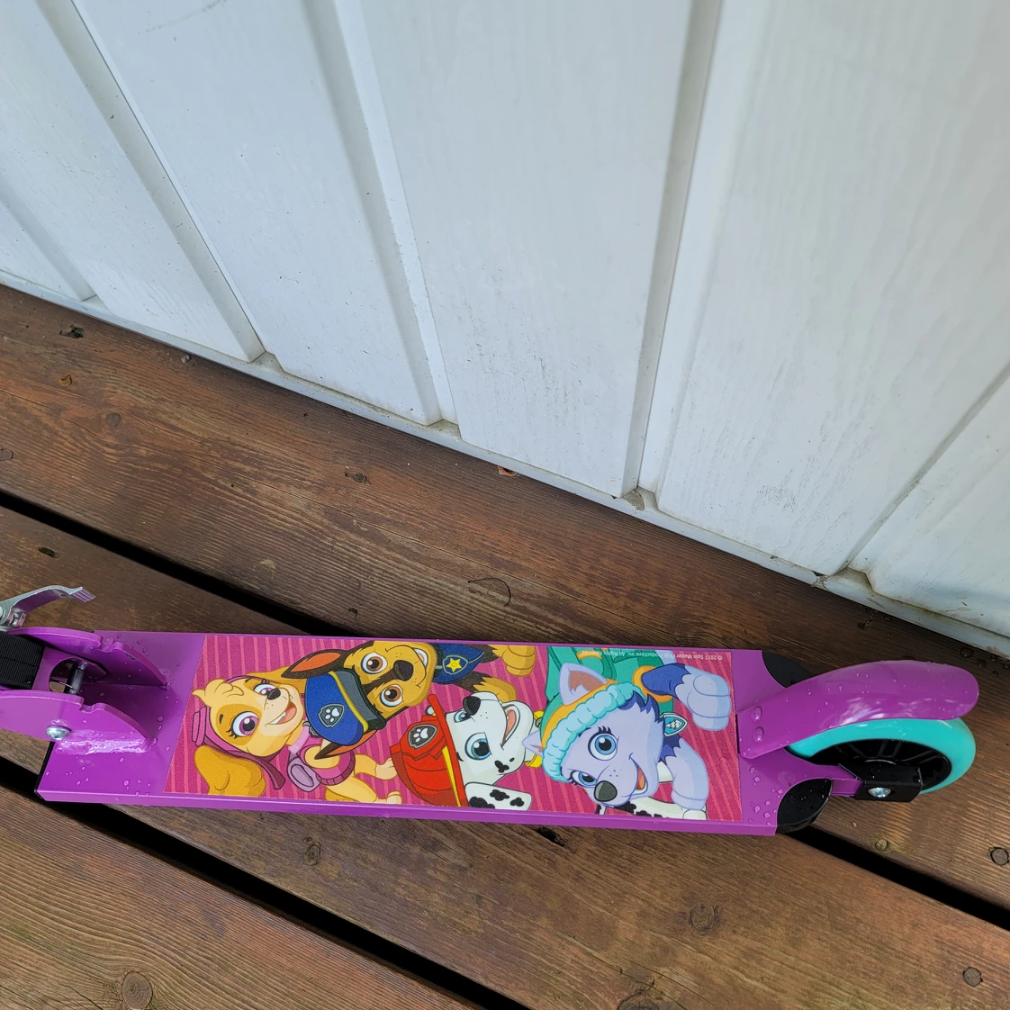 Bravo Sports Playwheels PAW Patrol Aluminum Folding Scooter - photo 3