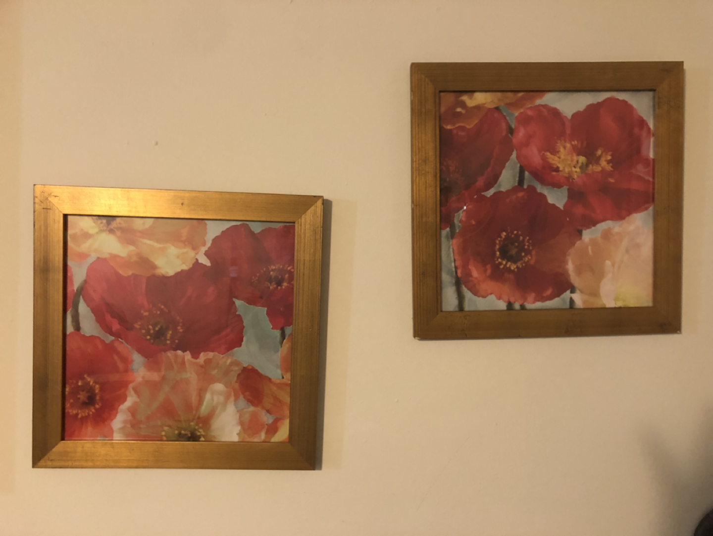 Poppies prints - Set of two