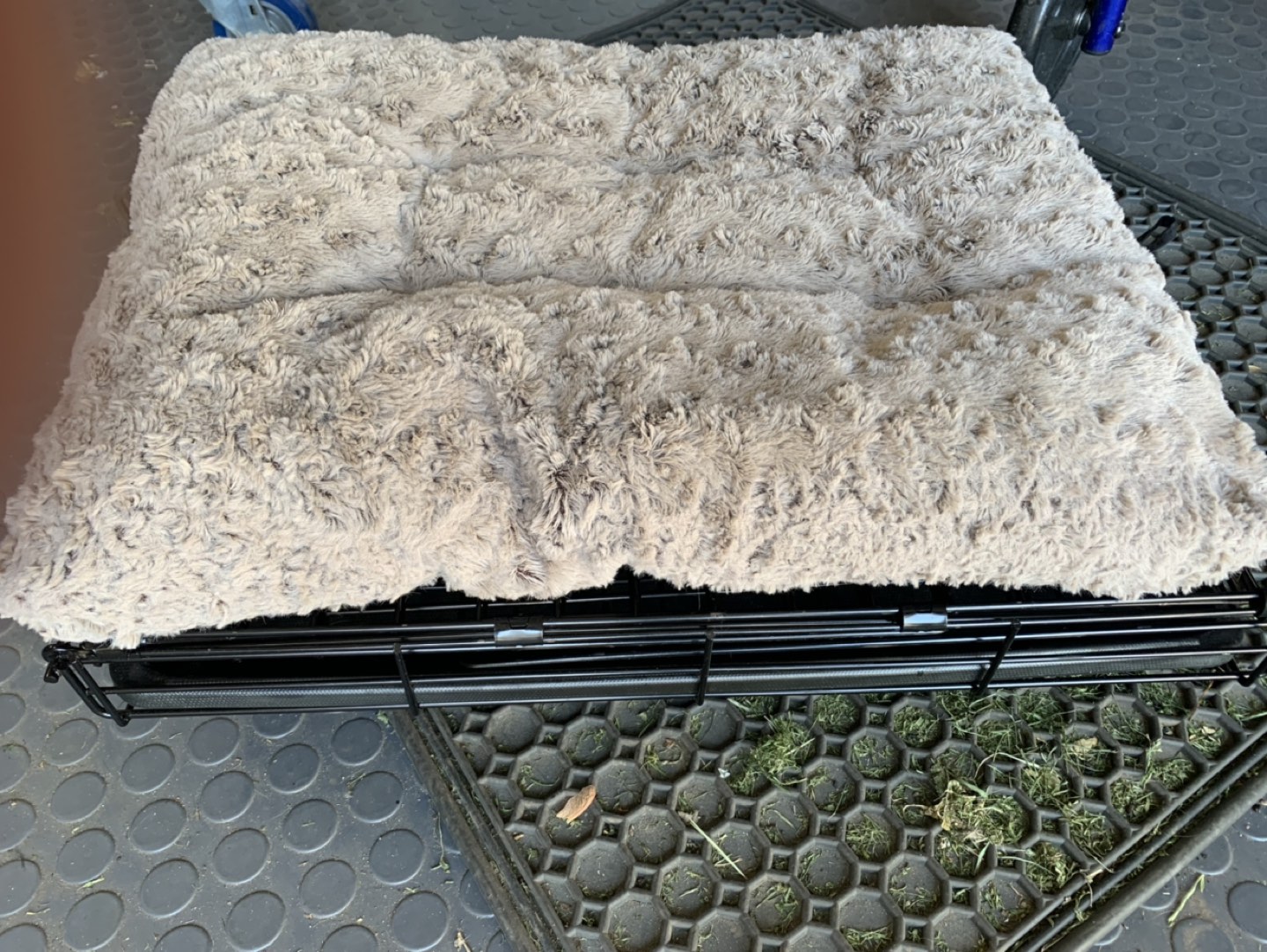 Dog Crate - 24 inch