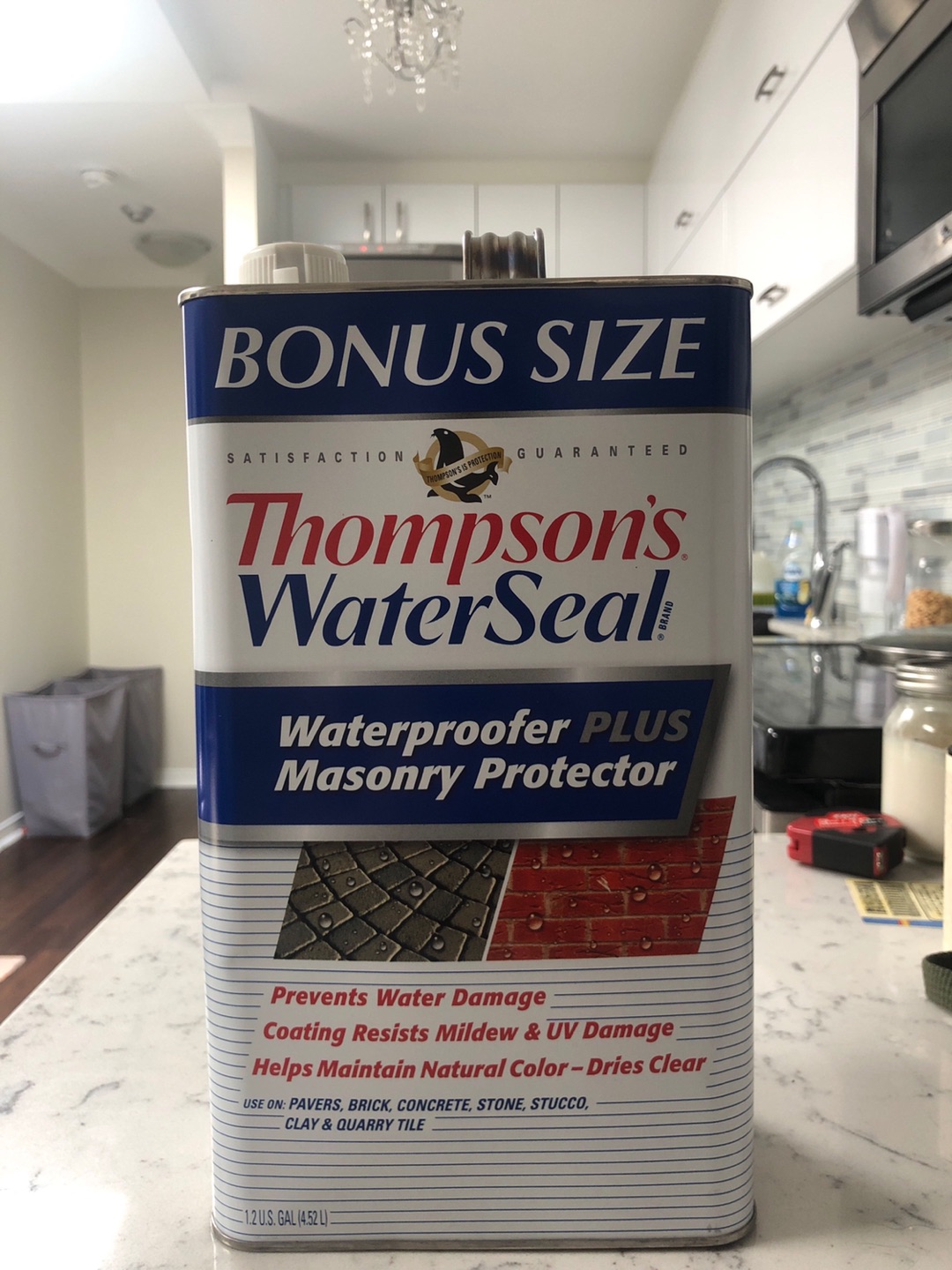 Waterproofer & Masonry Protector 