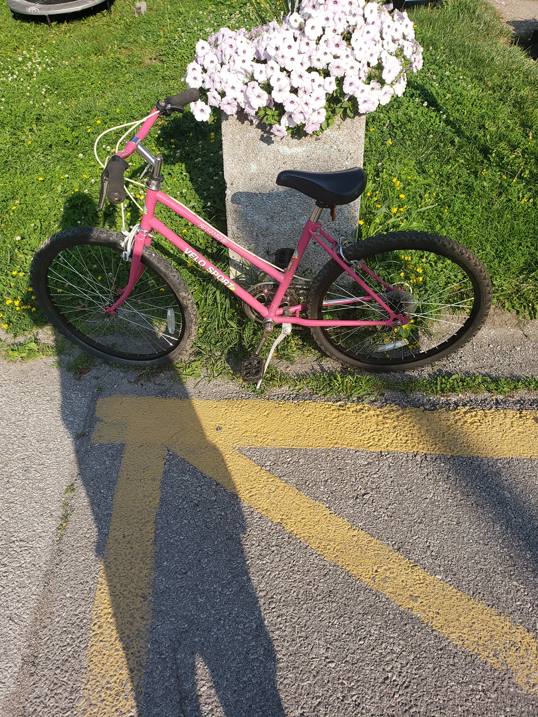 Beautiful Pink Mountain/ Street Bike