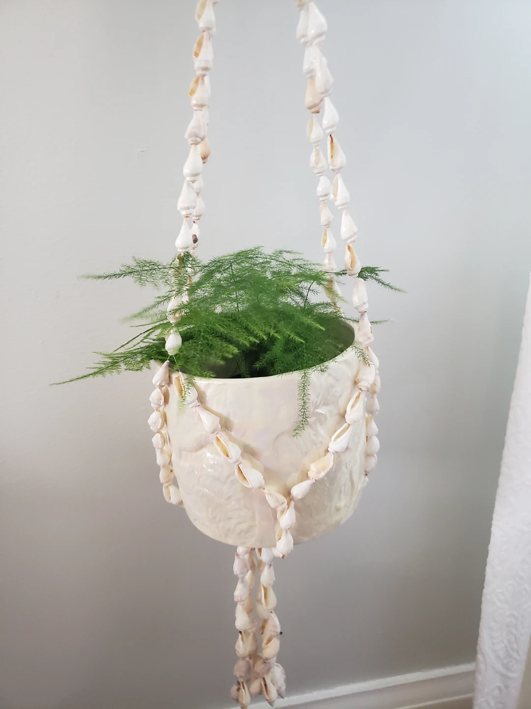 Shell Hanging Plant Holder
