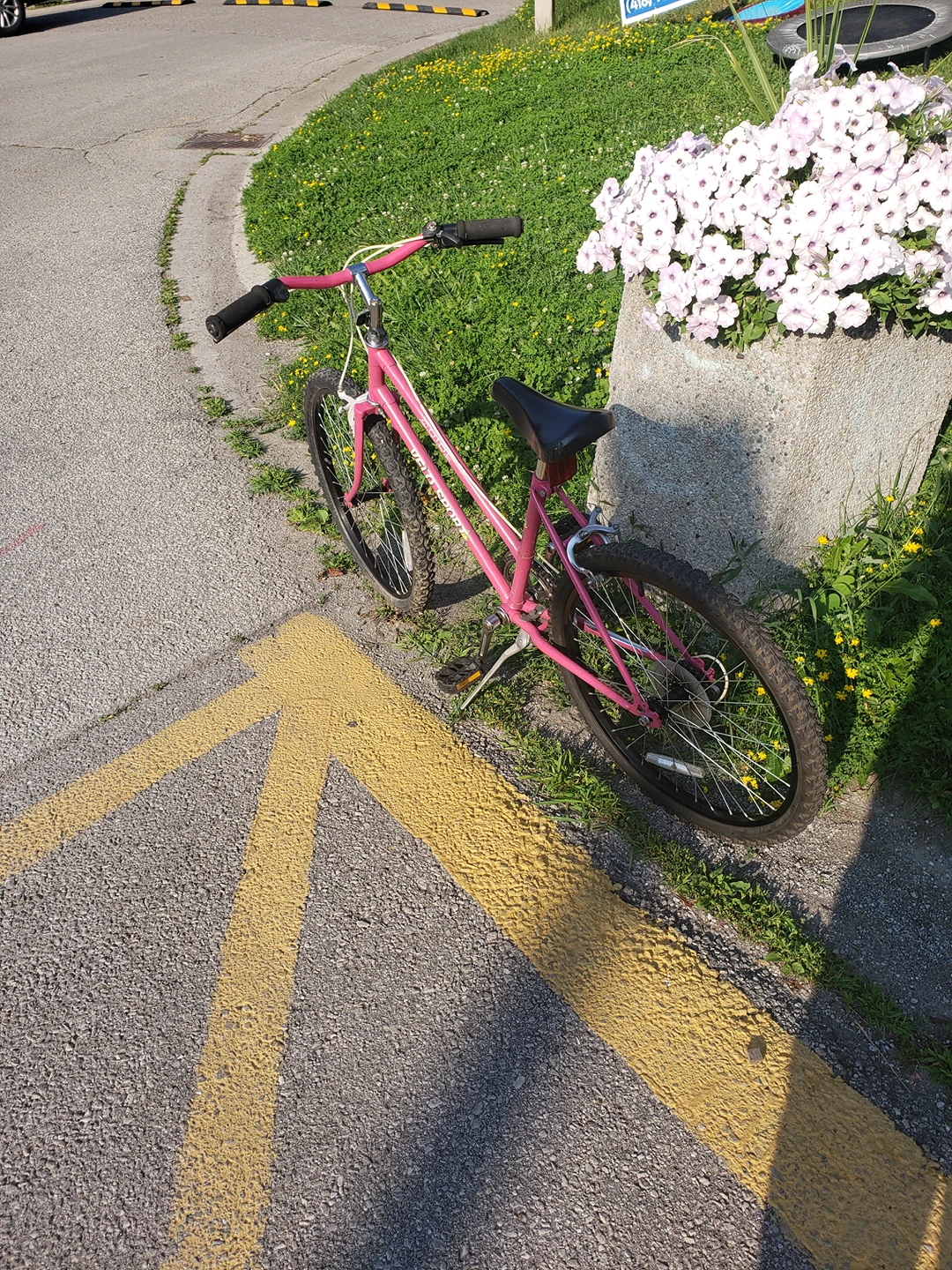 Beautiful Pink Mountain/ Street Bike - photo 2