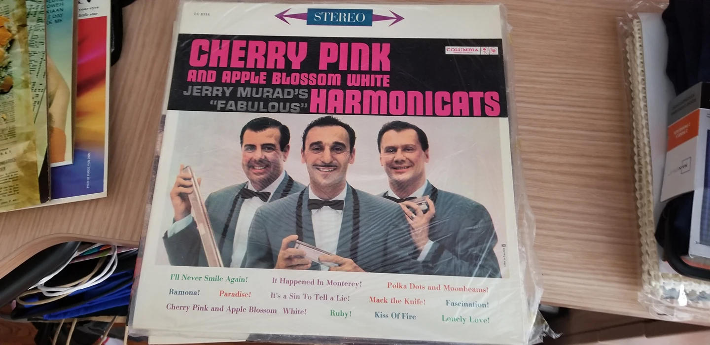 Records Vinyl - photo 5