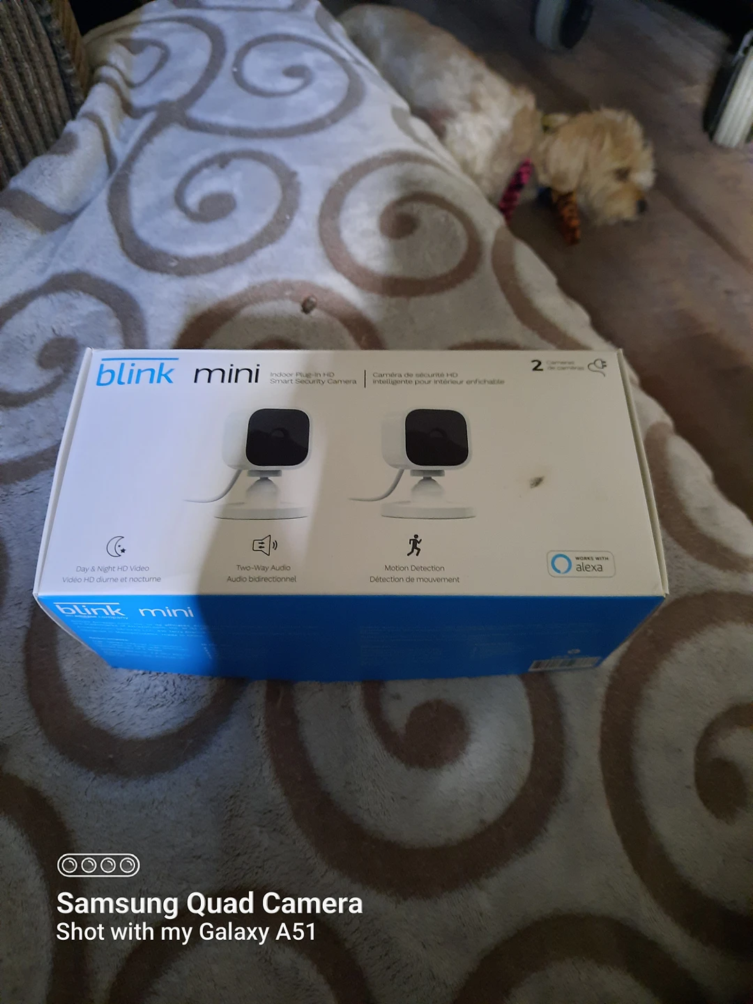 Indoor Security Camera's image indicator(3)