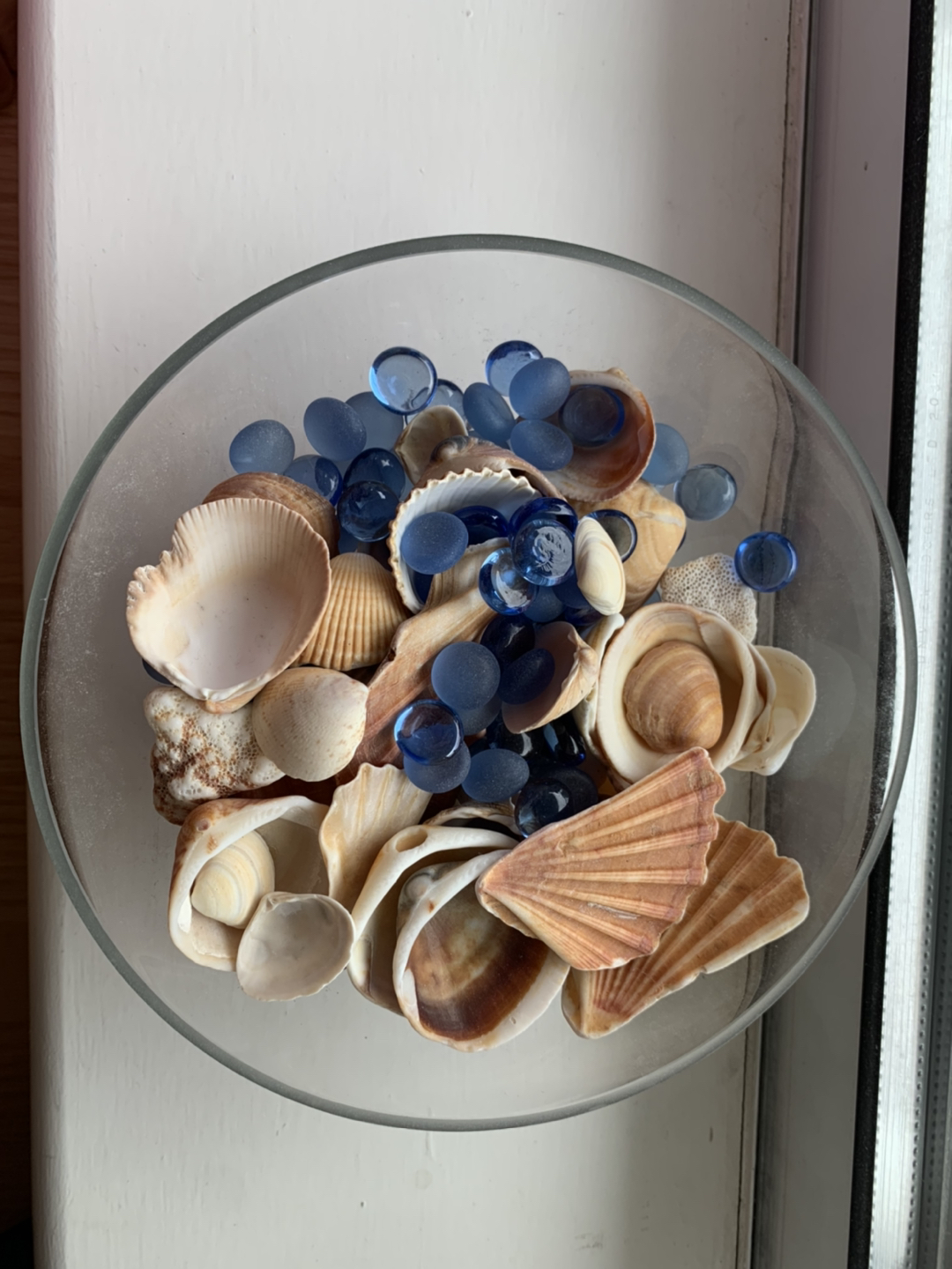 Sea Shell Decorated Set - 20cm thumbnail