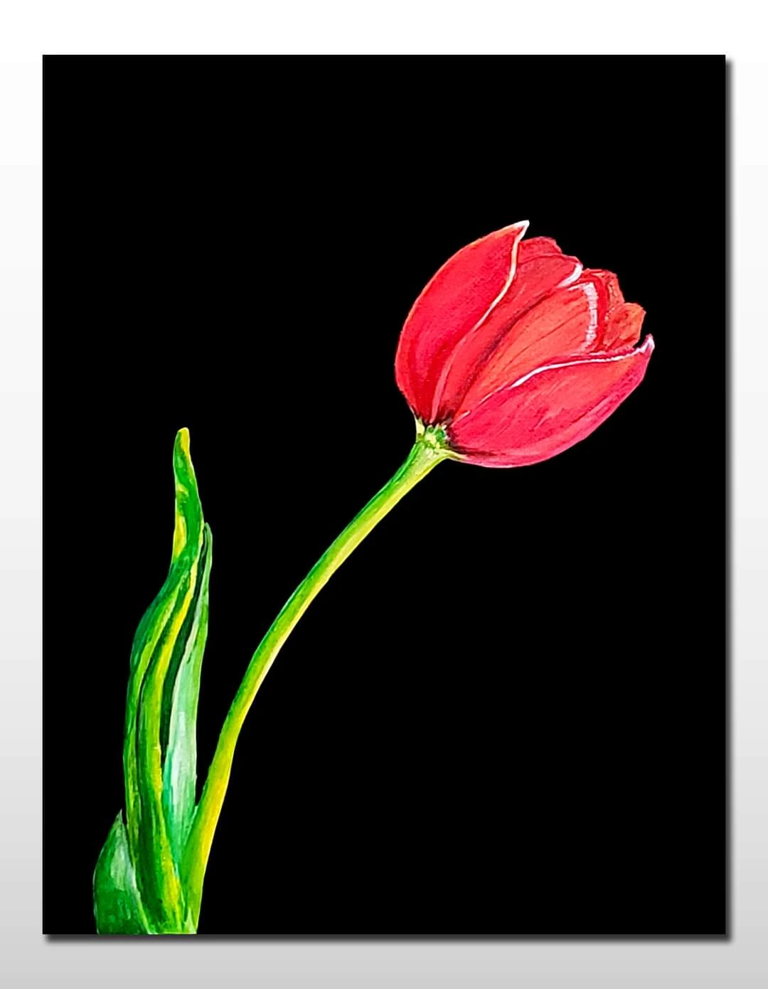 Beautiful Tulip Flower Painting thumbnail
