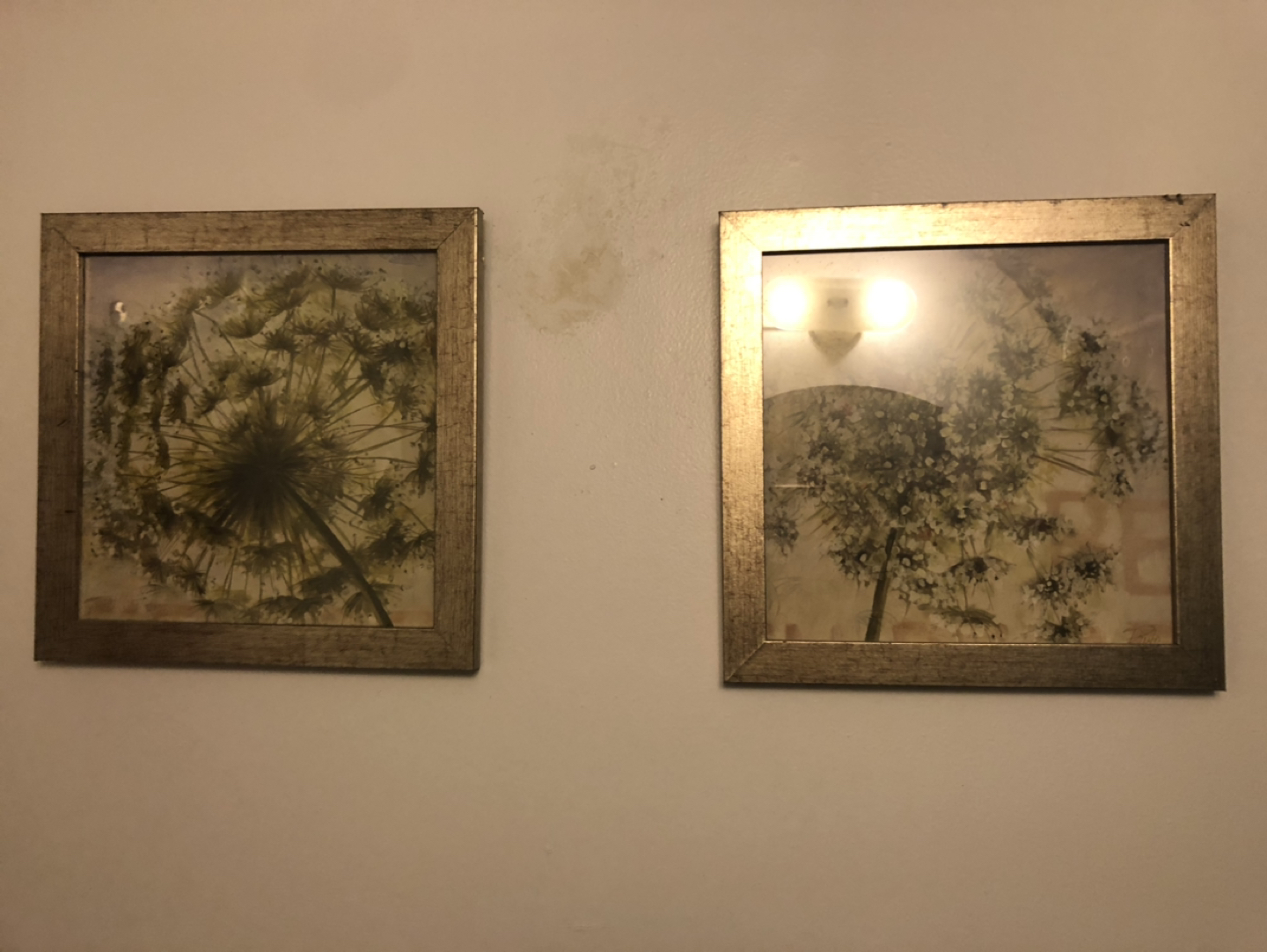 Dandelions Pictures - Set of Two