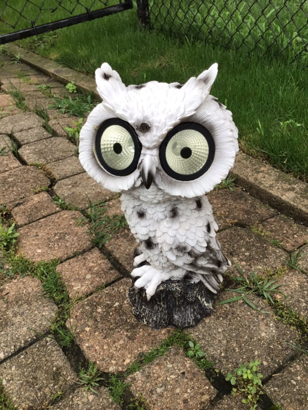 Solar Garden Owl
