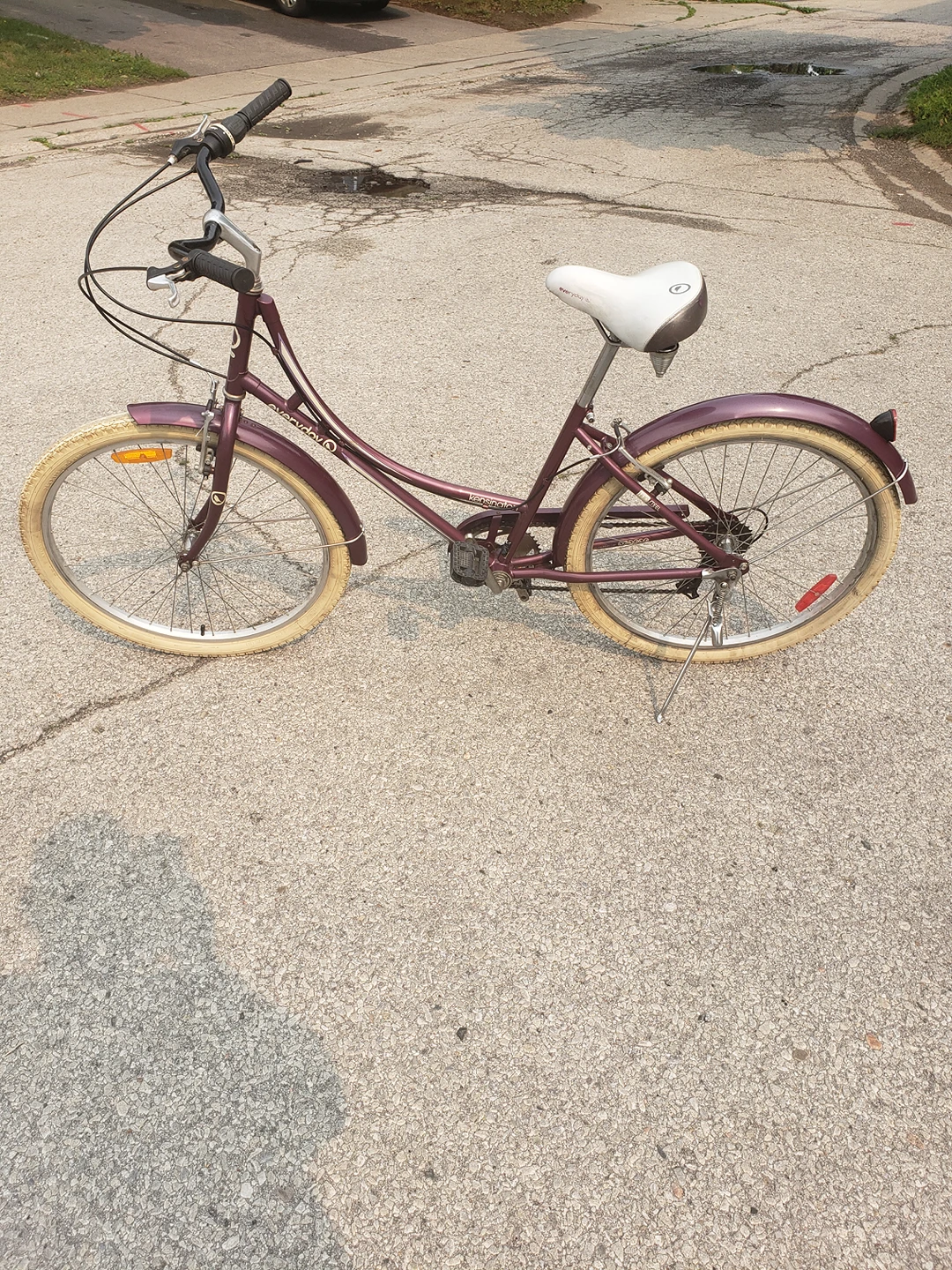 Beautiful Purple Lady Cruiser thumbnail