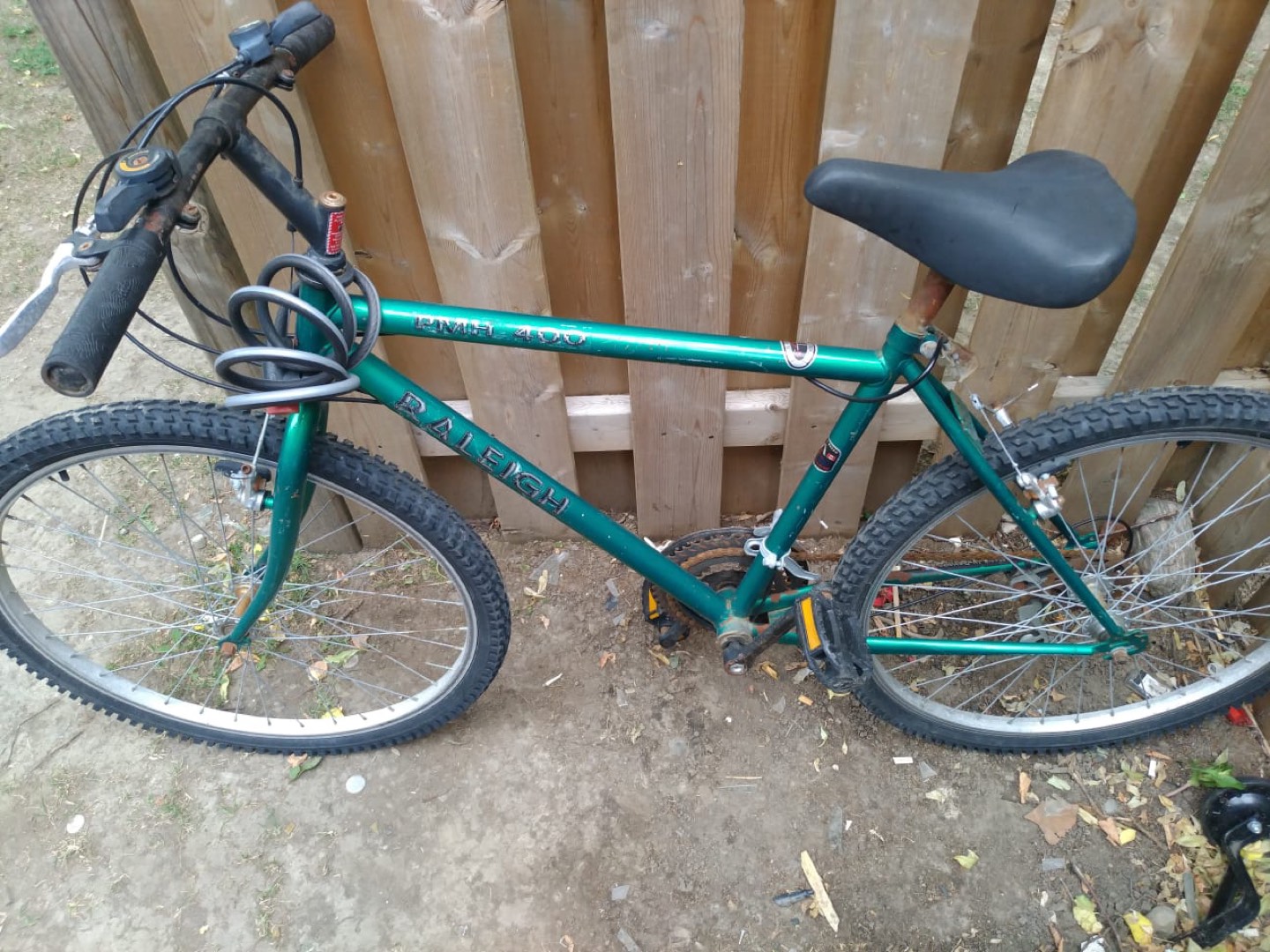 Adult bike 