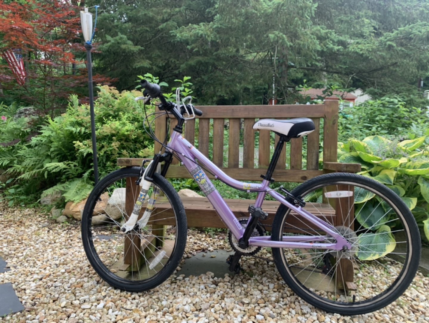Diamondback kids bicycle
