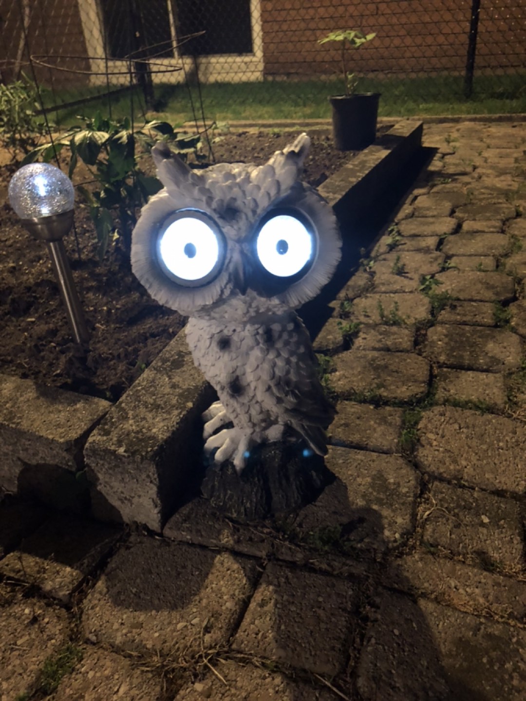 Solar Garden Owl - photo 3