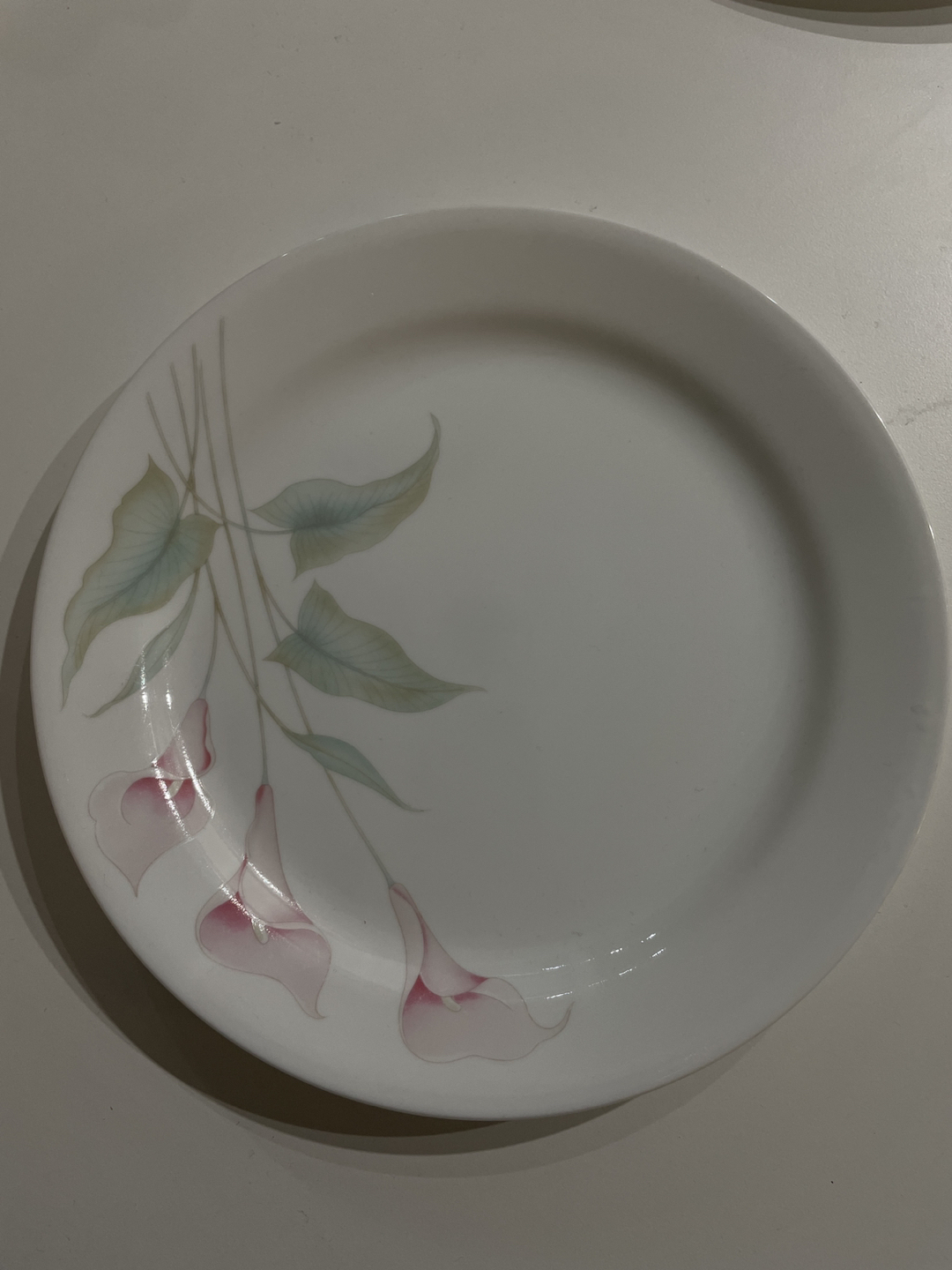 Corelle plates