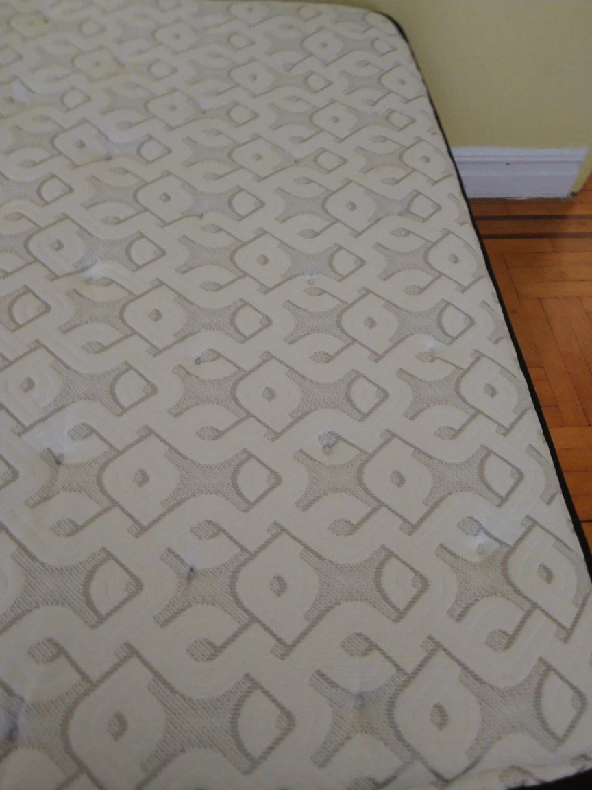 seally mattress with platform take all - photo 2