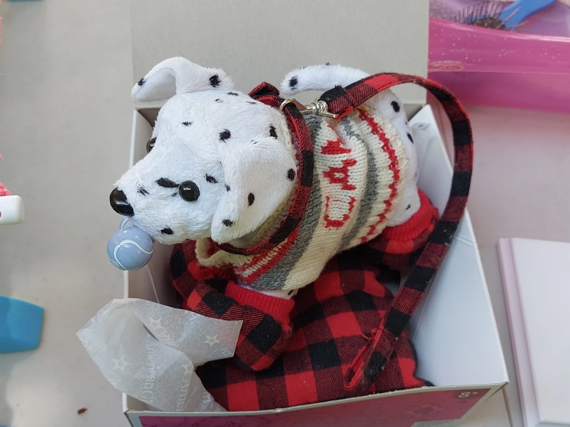 Maplelea Doll Saila (Inuit Doll) and tons of her stuff image indicator(5)