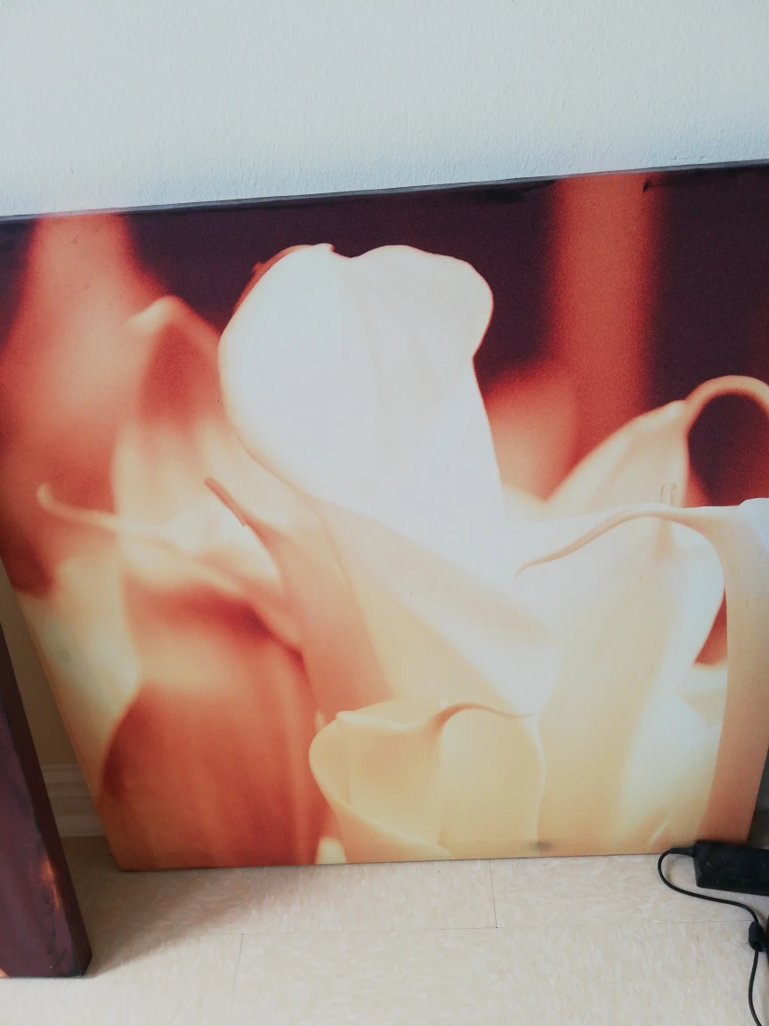 wall paint gallery collection thumbnail