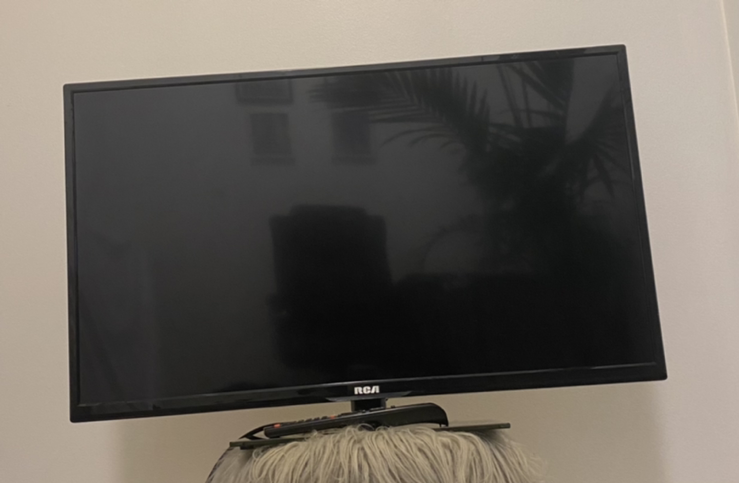 RCA 32" LCD TV with HDMI