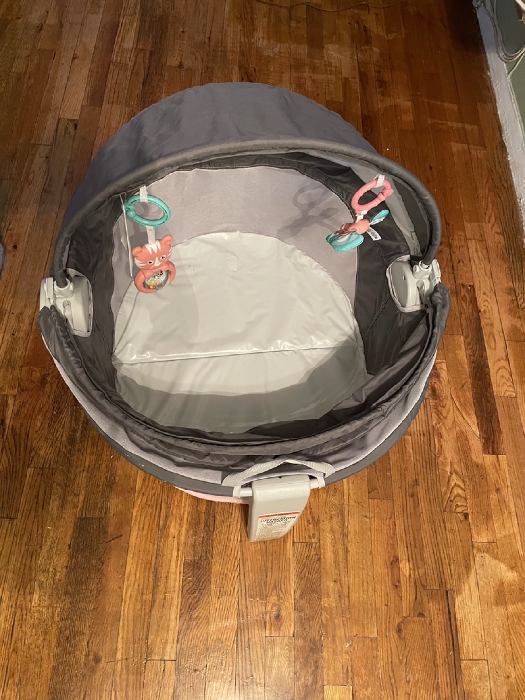 On the go baby Dome