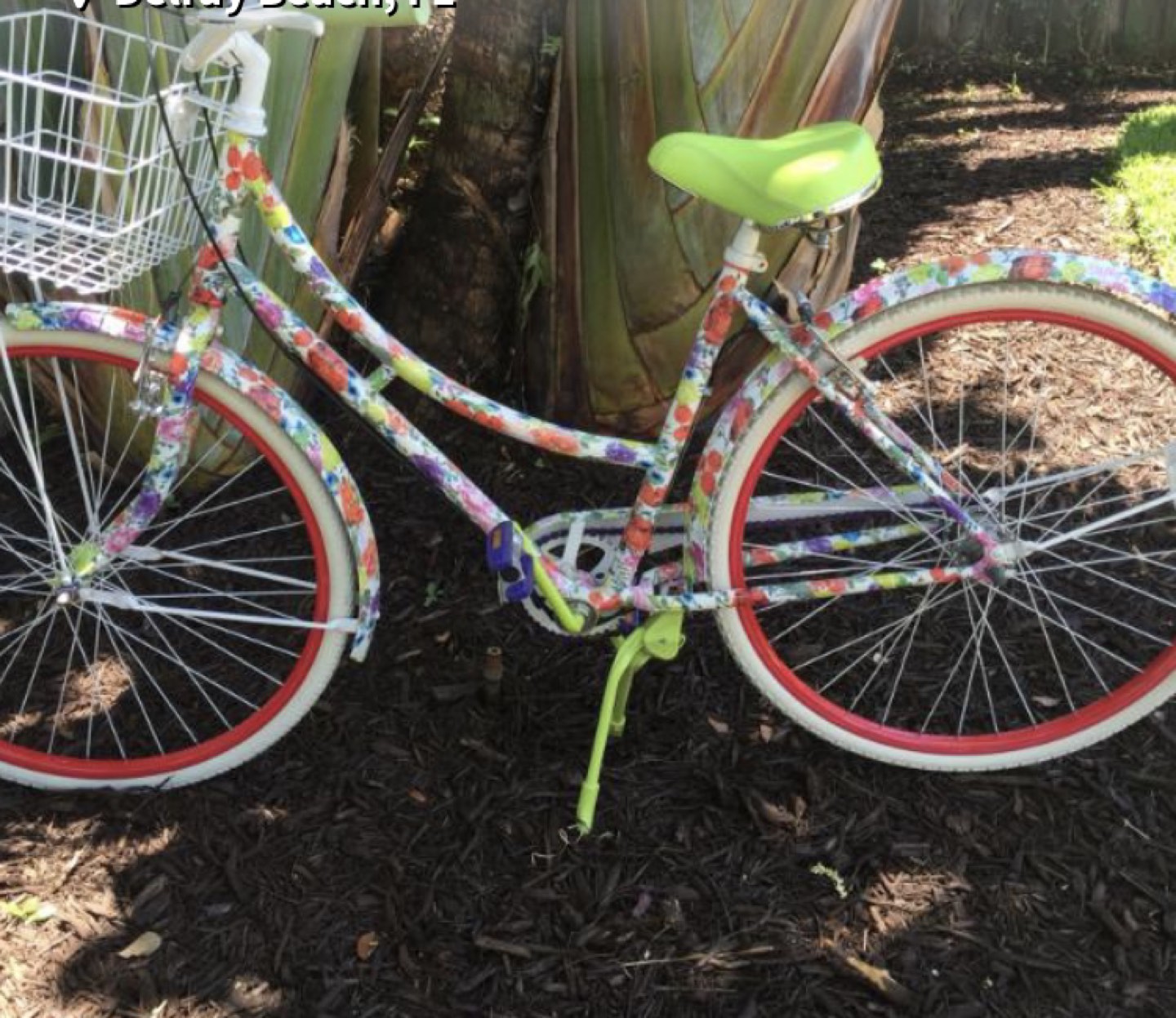 Alice + Olivia LE Bicycle