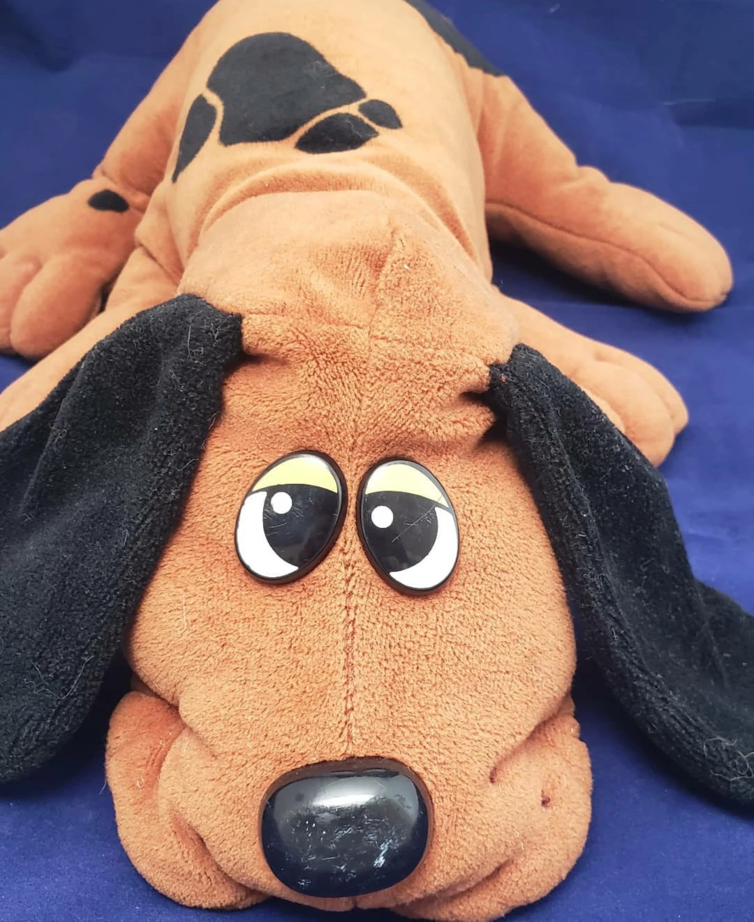 Pound Puppy thumbnail
