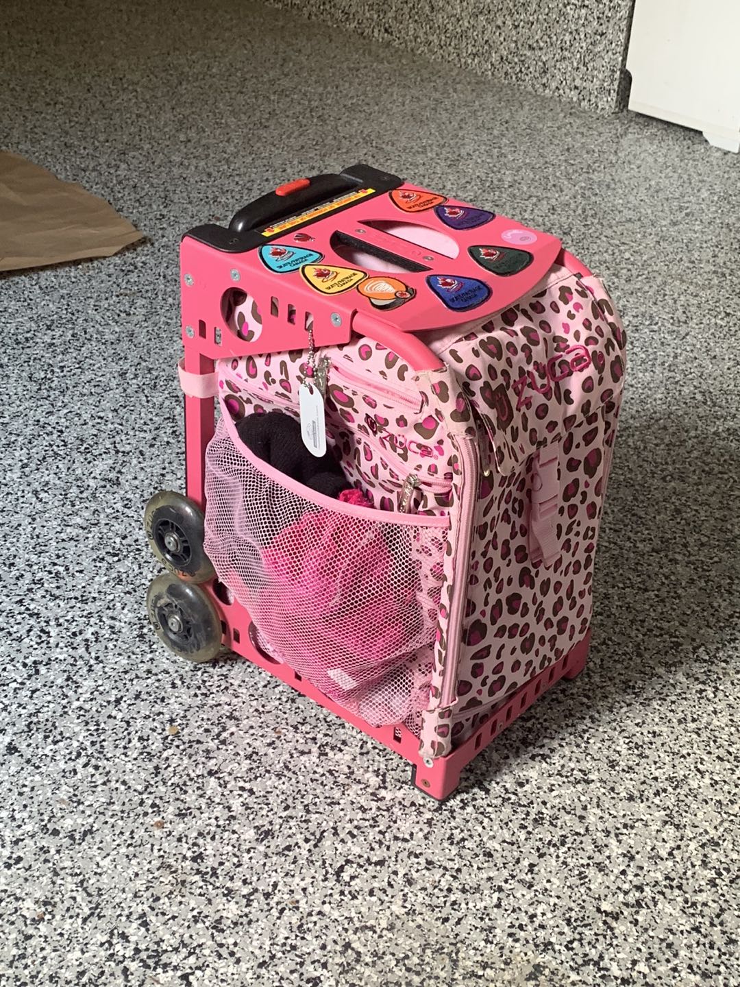 Skate bag