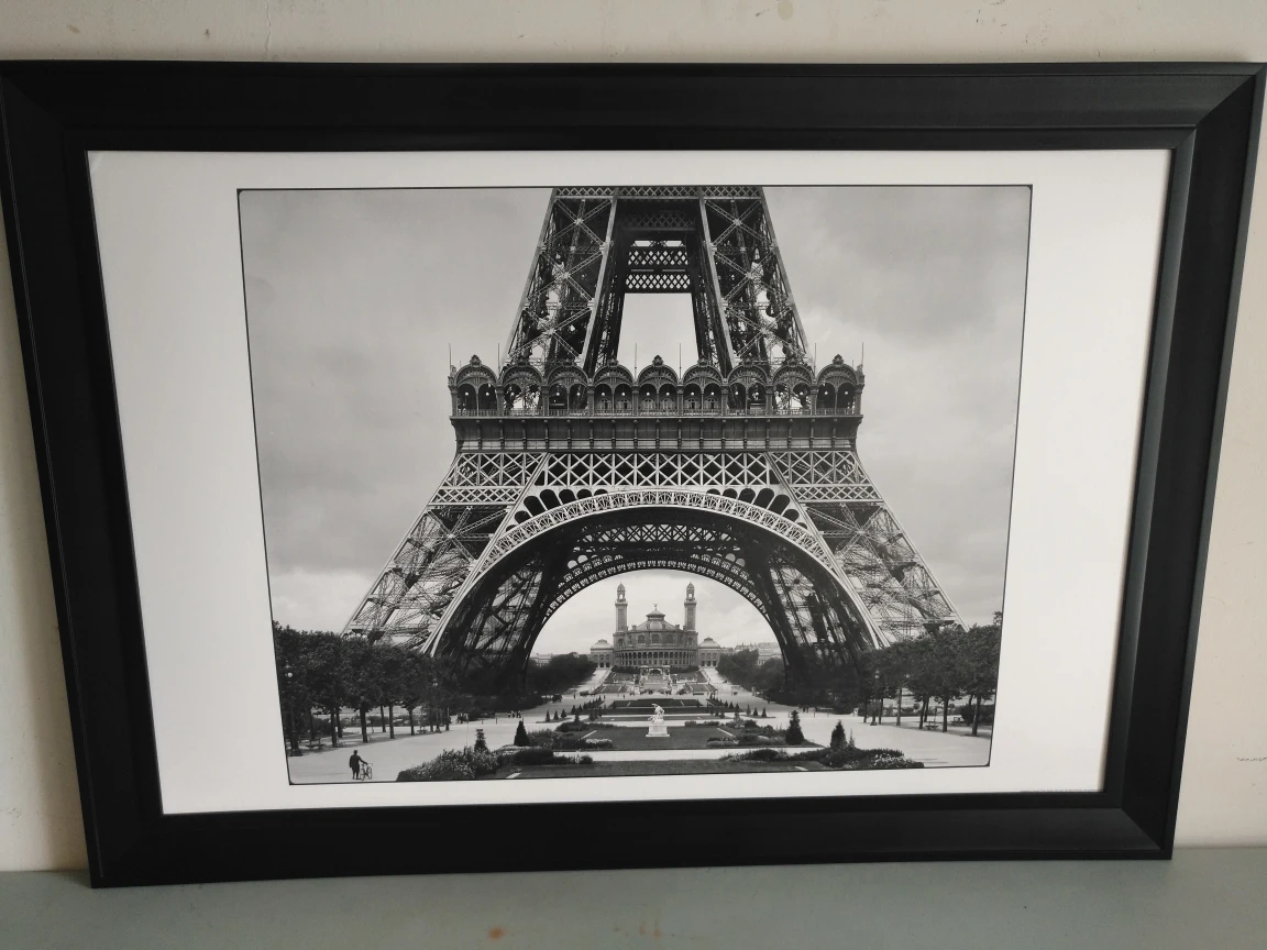 oiled on canvas print