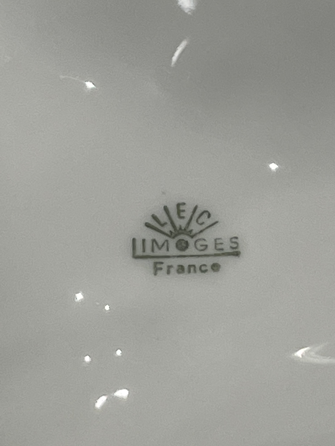 Limoges France Porcelain Serving Dish image indicator(3)