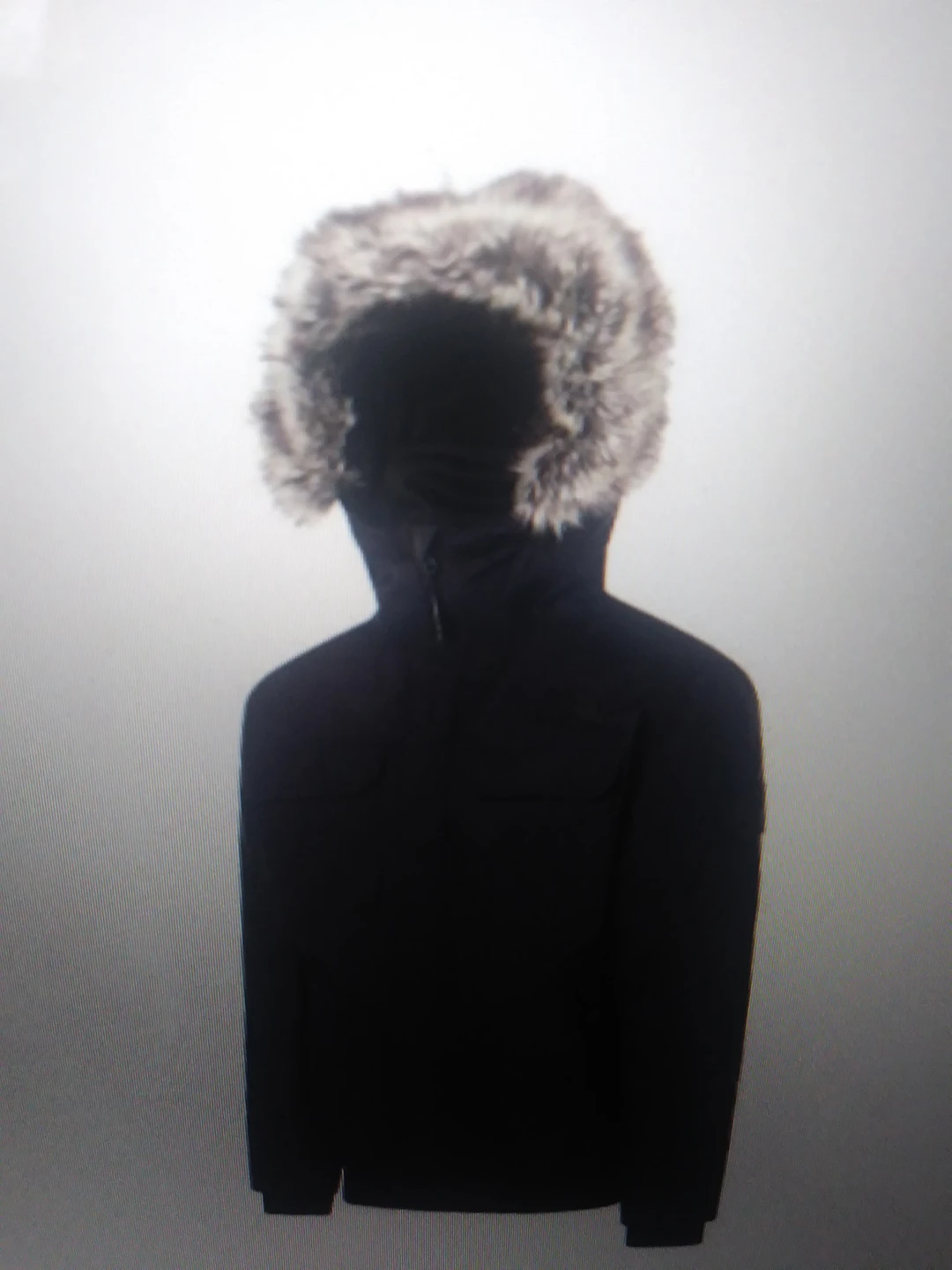 The North Face Gotham 111 jacket