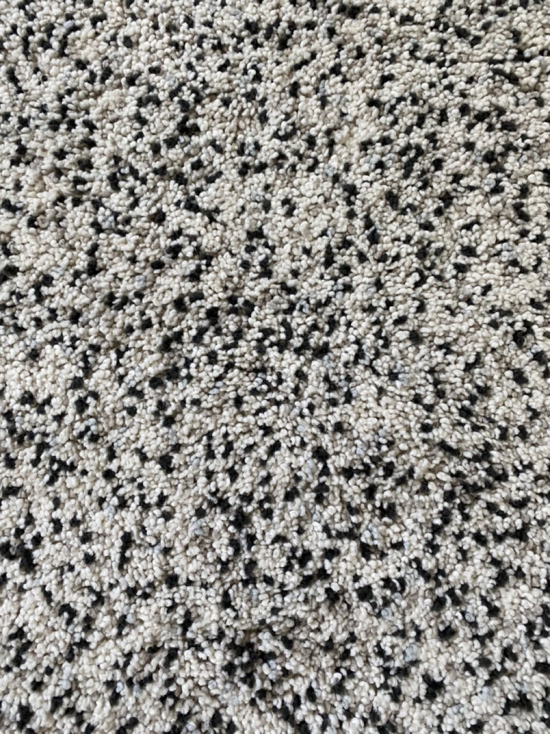 Vindum Area Rug - photo 2