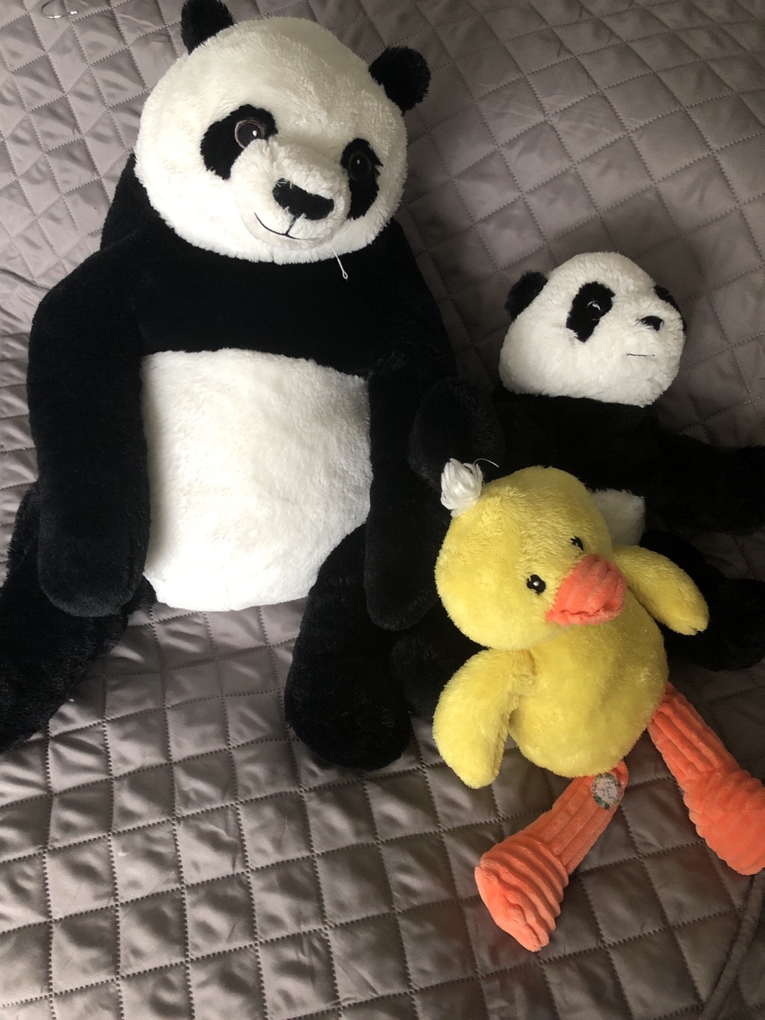 2 teddy bear and cute duck thumbnail