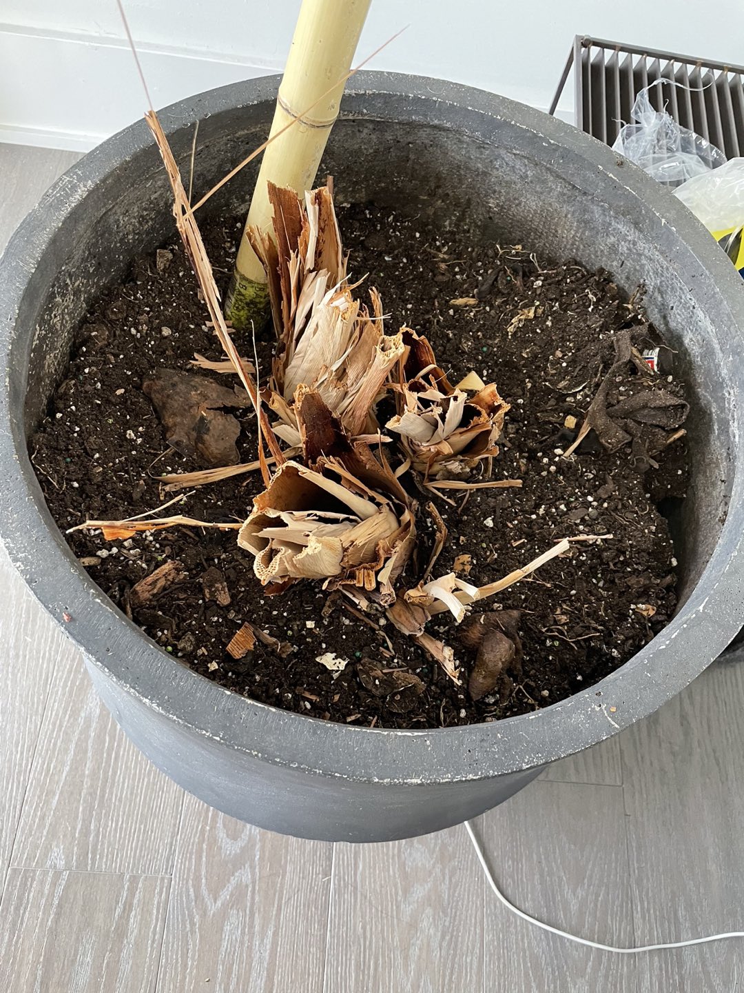 Stone pot  image indicator(2)