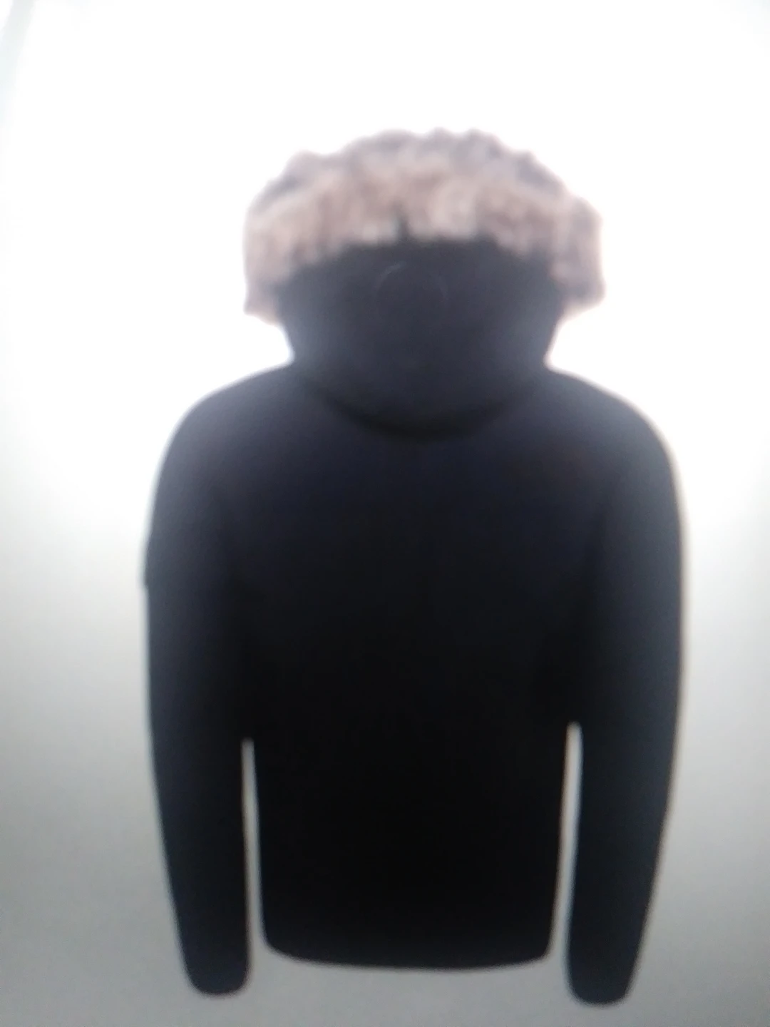 The North Face Gotham 111 jacket - photo 2