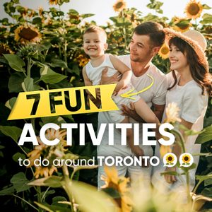7 Fun activities to do around Toronto