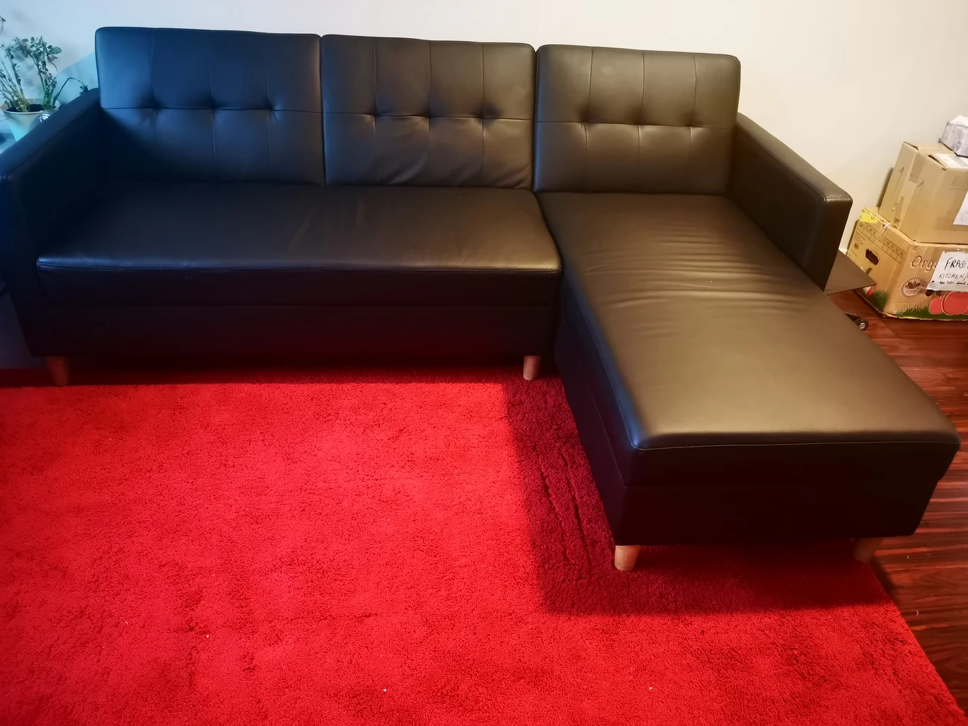 Wayfair Sectional Couch