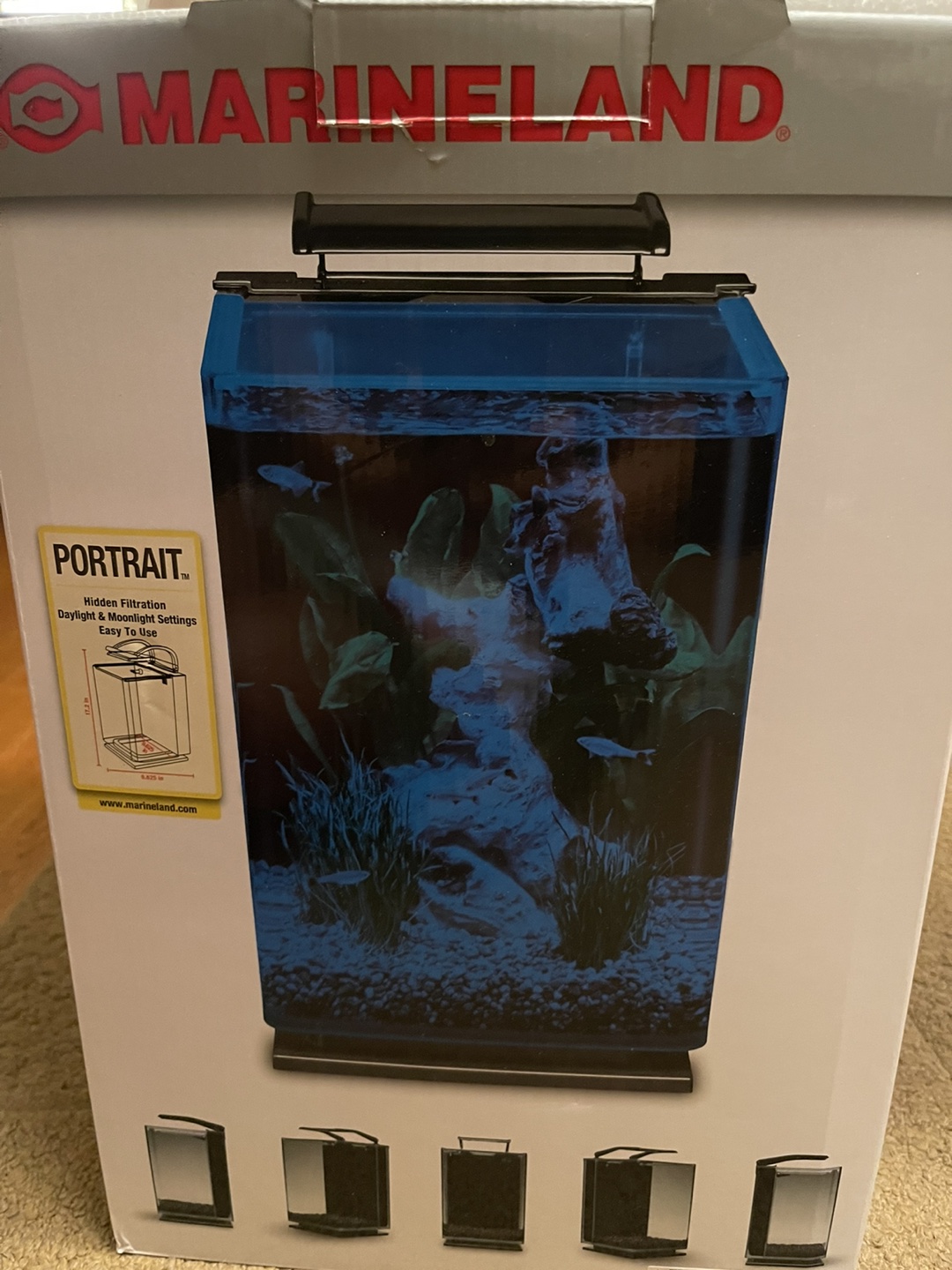 Glass aquarium