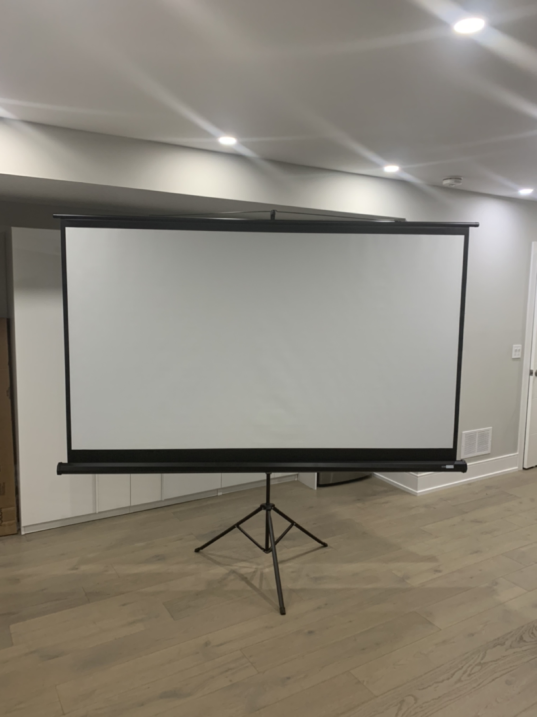 100 inch projector screen with tripod. 
