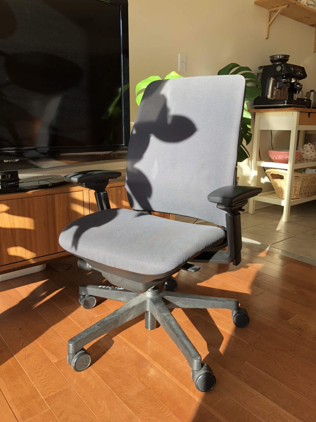 Steelcase Amia Ergonomic Office Chair