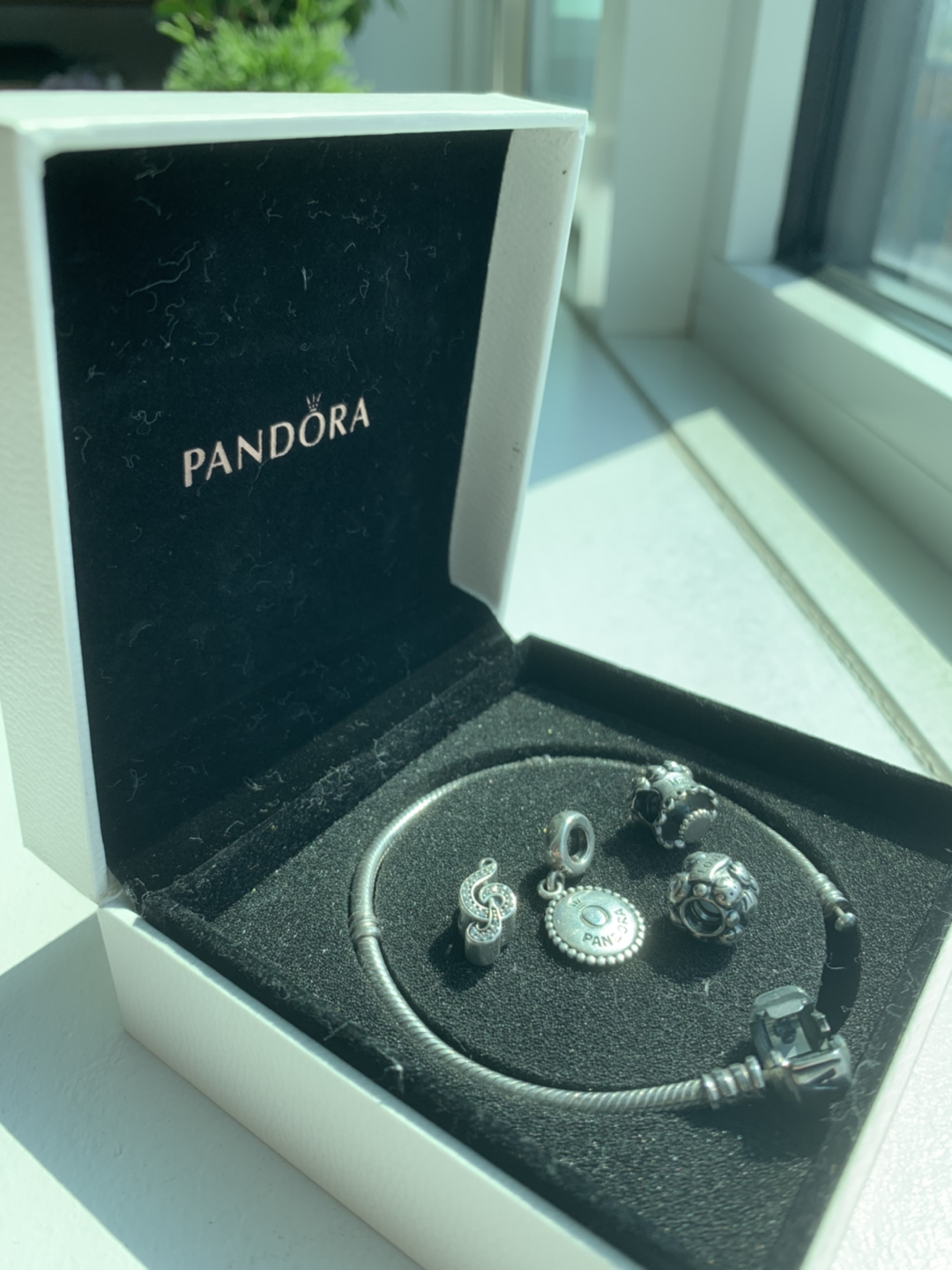 Pandora Bracelet 