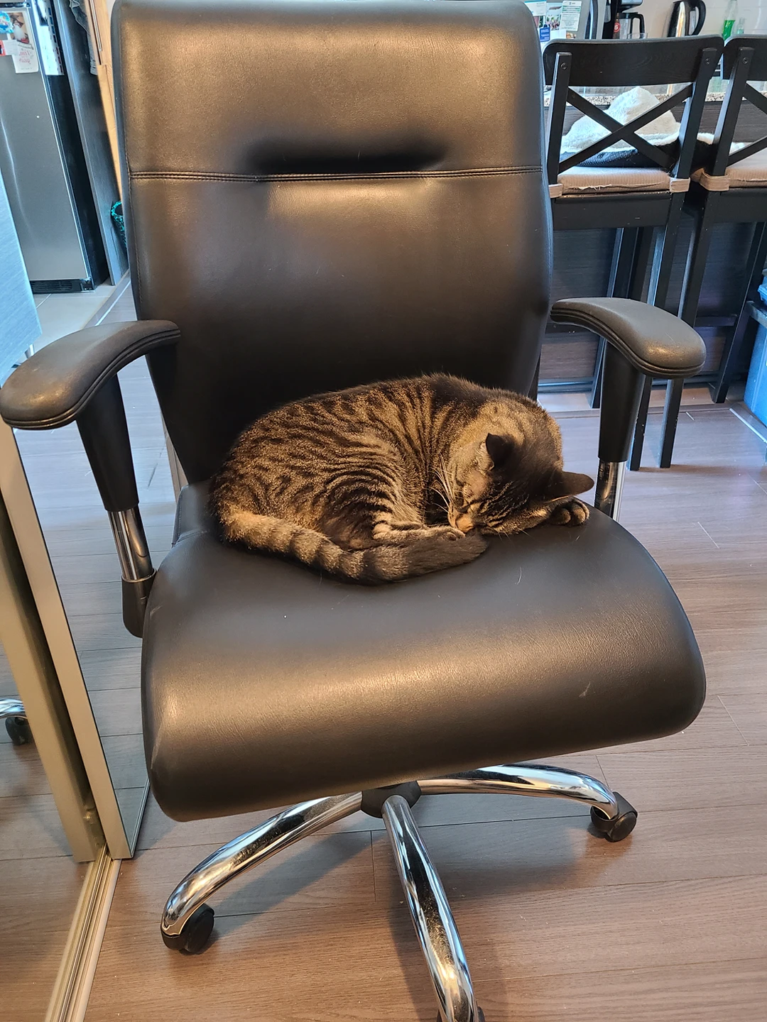 Black leather office chair ( cat not included)