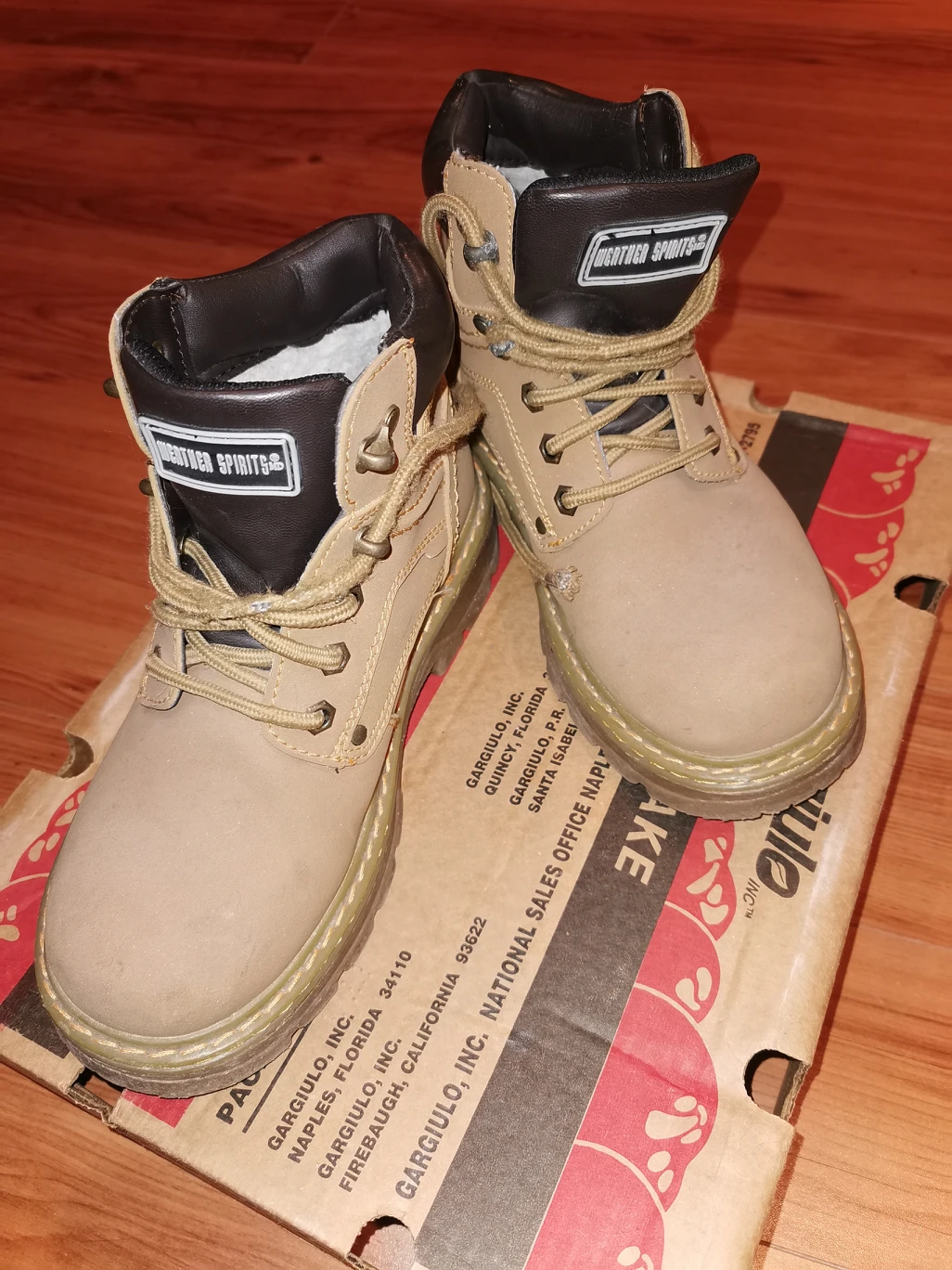 Weather Spirits Boots image indicator(4)