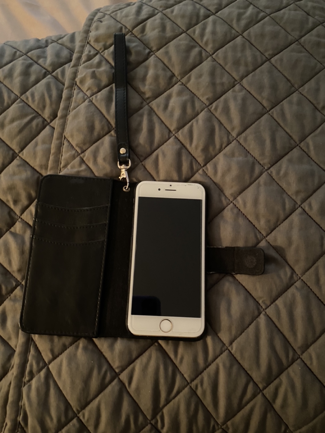 iPhone 6, unlocked, 64 GB, with protection and magnetic pouch